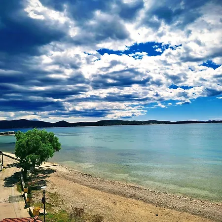 Sea La Vie *