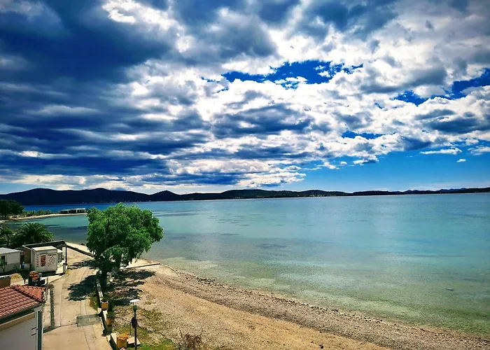 Sea La Vie *
